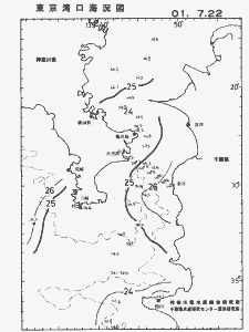 東京湾口海況図(2001/07/22)