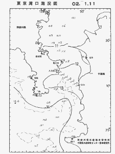 東京湾口海況図(2002/01/11)