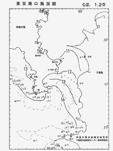 東京湾口海況図(2002/01/25)