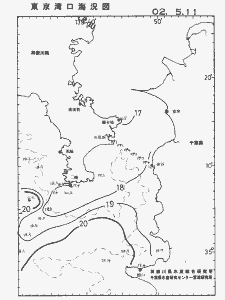東京湾口海況図(2002/05/11)