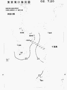 東京湾口海況図(2002/07/20)