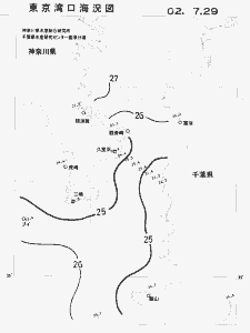 東京湾口海況図(2002/07/29)