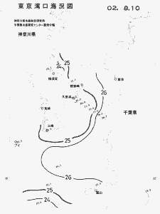 東京湾口海況図(2002/08/10)
