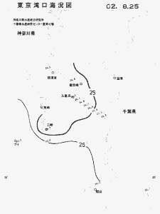 東京湾口海況図(2002/08/25)