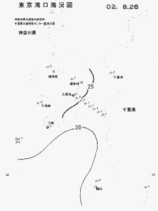 東京湾口海況図(2002/08/26)