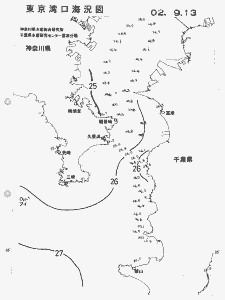 東京湾口海況図(2002/09/13)