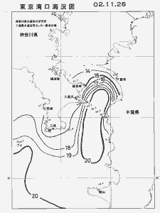 東京湾口海況図(2002/11/28)