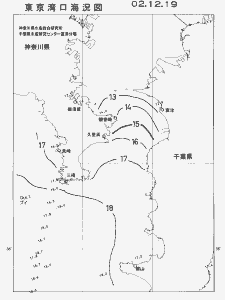 東京湾口海況図(2002/12/19)