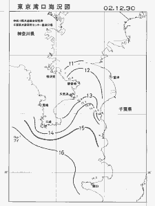 東京湾口海況図(2002/12/30)