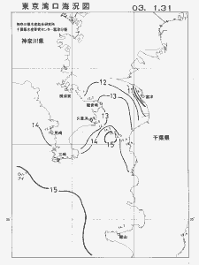 東京湾口海況図(2003/01/31)