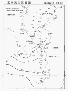 東京湾口海況図(2003/05/11)