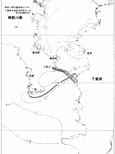 東京湾口海況図(2020/01/30)