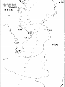 東京湾口海況図(2020/04/25)
