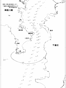 東京湾口海況図(2020/05/02)