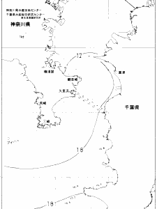 東京湾口海況図(2020/05/10)