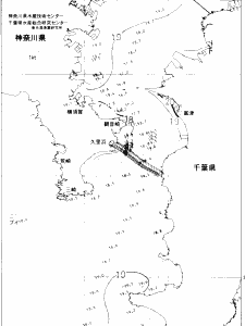 東京湾口海況図(2020/05/12)