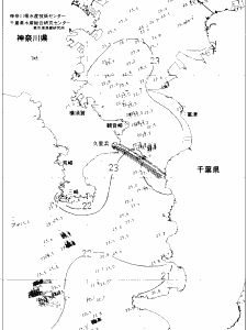 東京湾口海況図(2020/06/30)