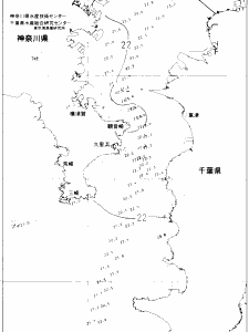 東京湾口海況図(2020/07/05)