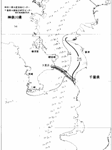 東京湾口海況図(2020/07/28)