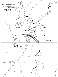 東京湾口海況図(2020/08/05)