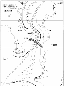 東京湾口海況図(2020/08/09)