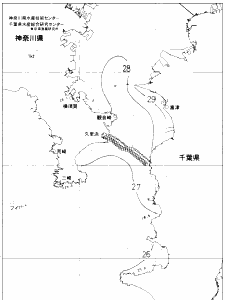東京湾口海況図(2020/08/14)