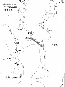 東京湾口海況図(2020/08/28)