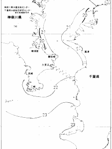 東京湾口海況図(2020/10/11)