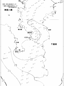 東京湾口海況図(2020/10/13)