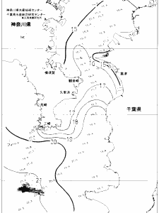東京湾口海況図(2020/12/11)