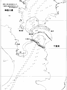 東京湾口海況図(2021/01/19)