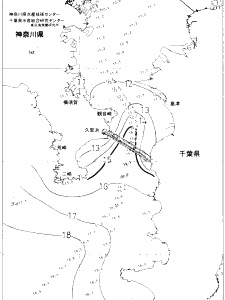 東京湾口海況図(2021/01/24)