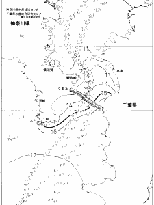 東京湾口海況図(2021/02/11)