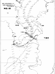 東京湾口海況図(2021/02/12)