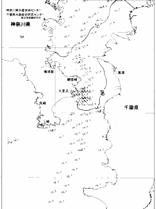 東京湾口海況図(2021/05/12)