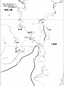 東京湾口海況図(2021/05/24)
