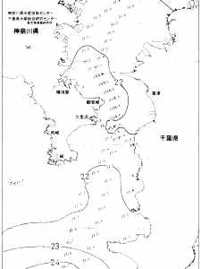 東京湾口海況図(2021/06/12)
