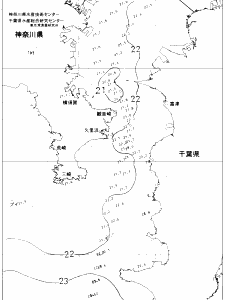 東京湾口海況図(2021/06/13)