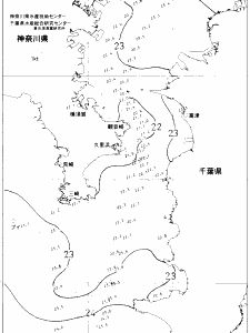 東京湾口海況図(2021/06/16)