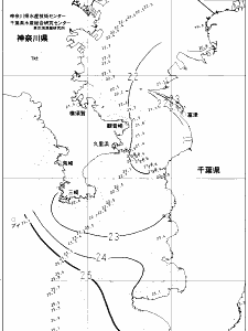 東京湾口海況図(2021/10/14)