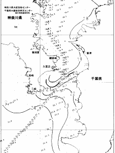東京湾口海況図(2021/10/30)