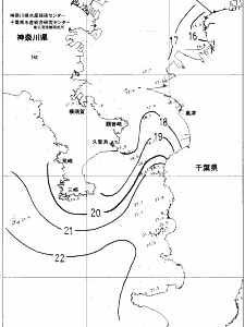 東京湾口海況図(2021/11/17)