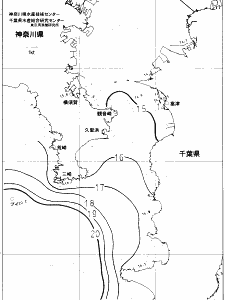 東京湾口海況図(2021/12/09)