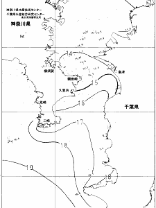 東京湾口海況図(2021/12/15)