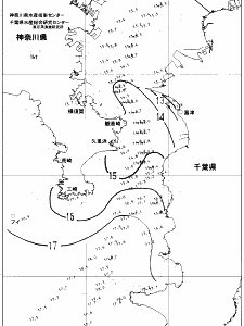 東京湾口海況図(2021/12/21)