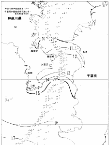 東京湾口海況図(2022/02/26)