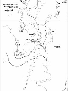東京湾口海況図(2022/05/20)