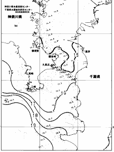 東京湾口海況図(2023/04/04)