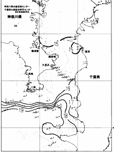 東京湾口海況図(2023/04/05)