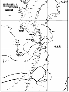 東京湾口海況図(2023/04/26)